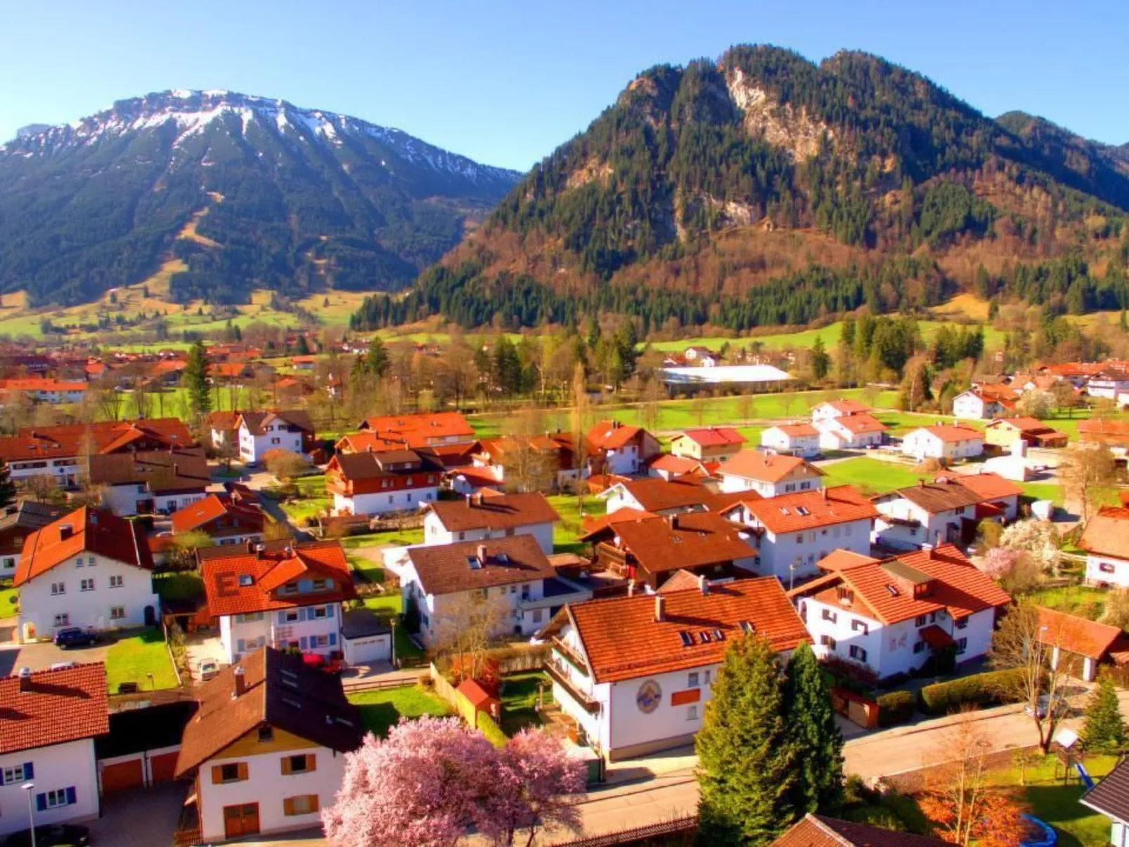 Apartment Nr.1-Image-tags.info