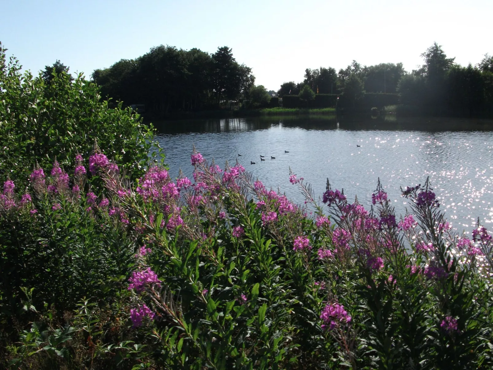 Haus am Kiessee mit direkter Angelseelage