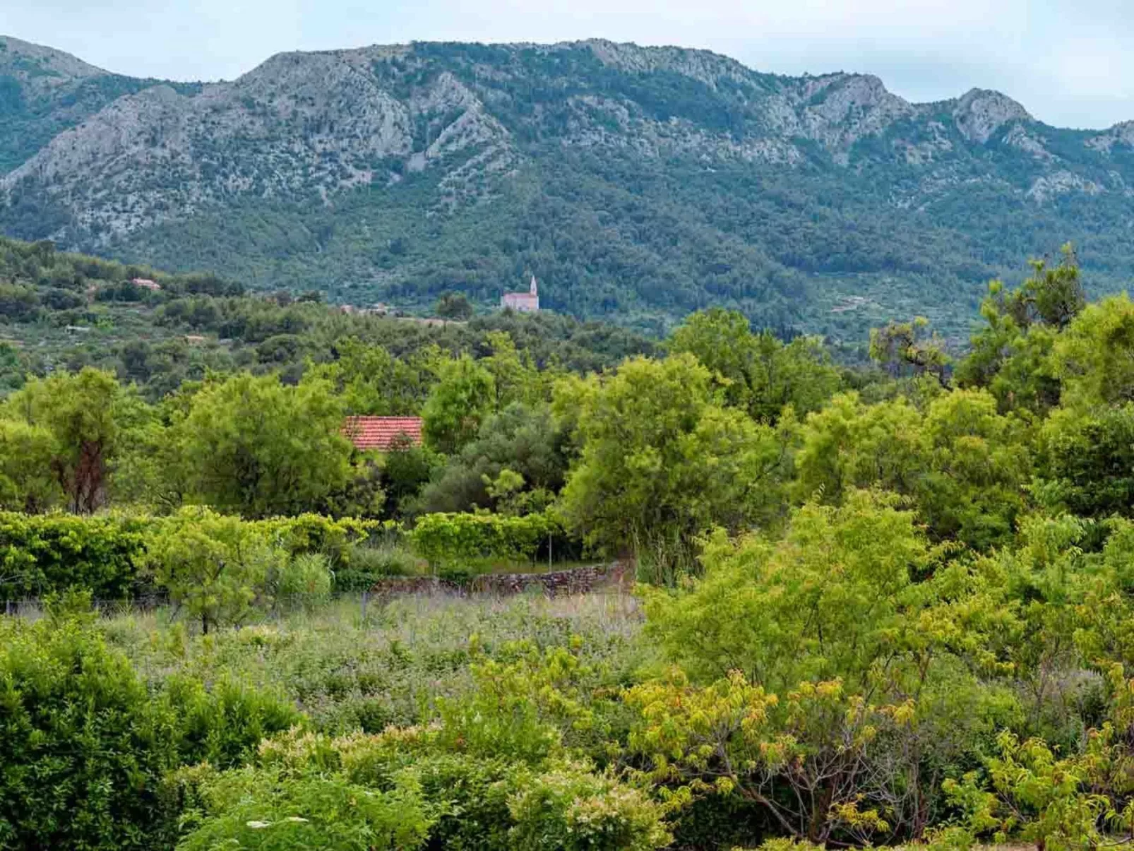 Villa "Sunshine" mit Garten, Grill und Terrasse-Buiten