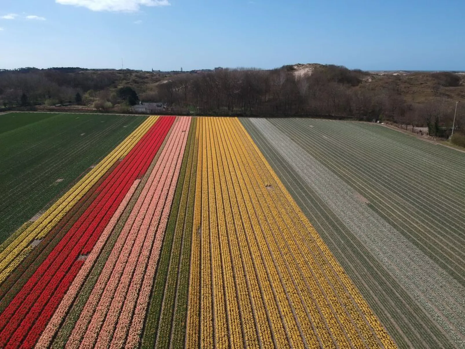 Gemütliches Ferienbungalow mit Garten
