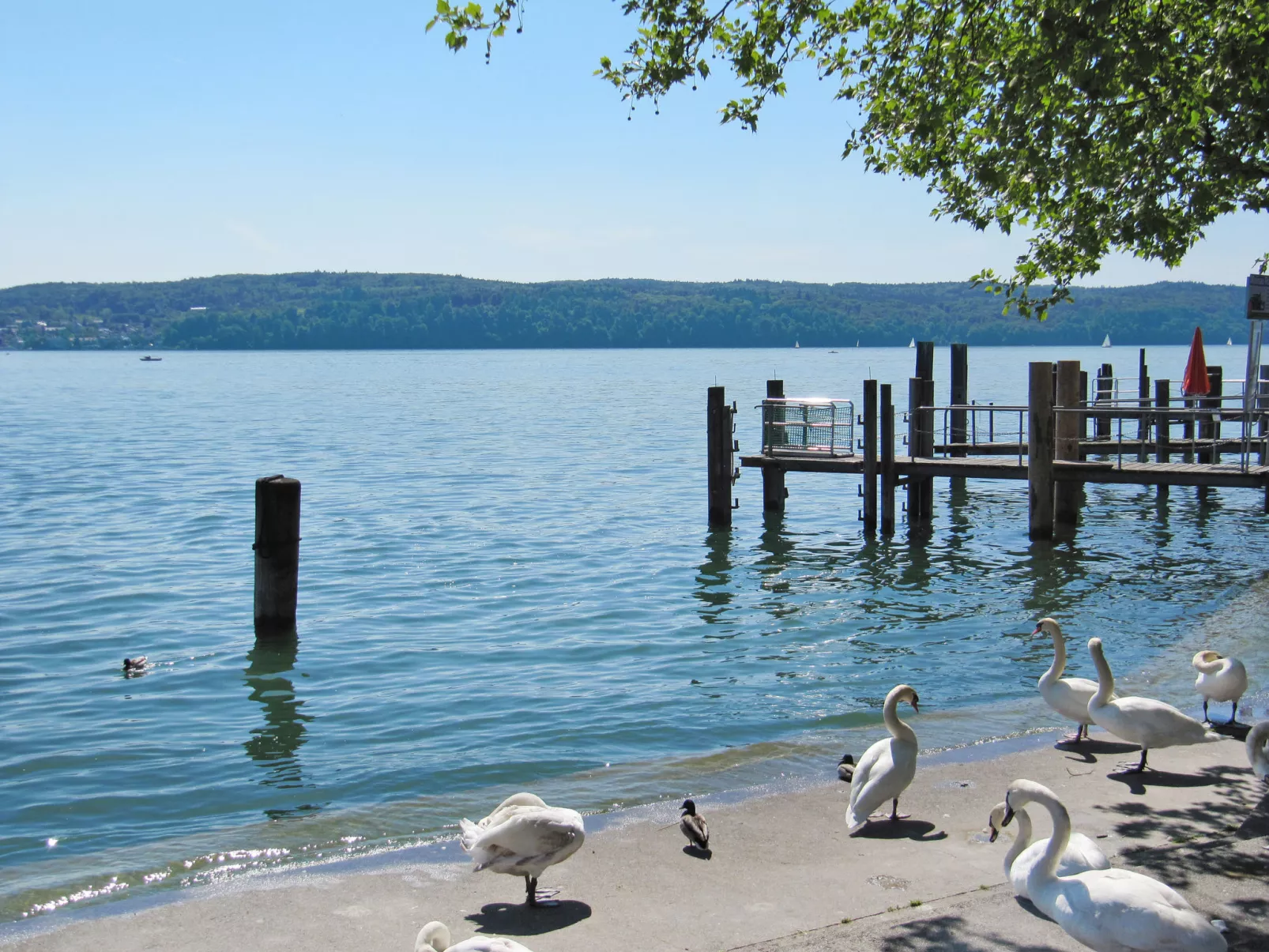3-Zimmer-Fewo mit herrlichem Seeblick-Omgeving
