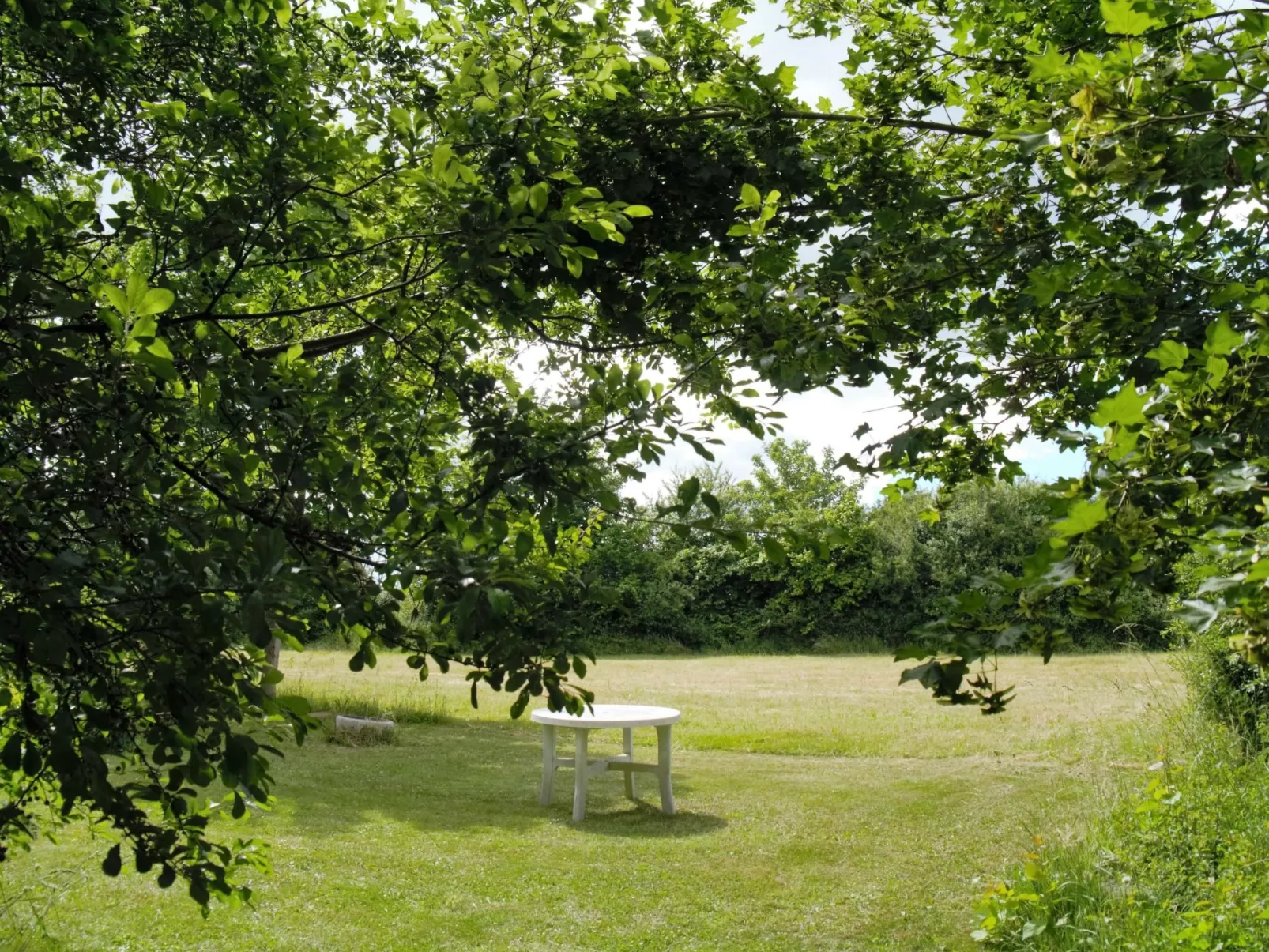 Idyllisches Reetdachhaus mit großem Garten