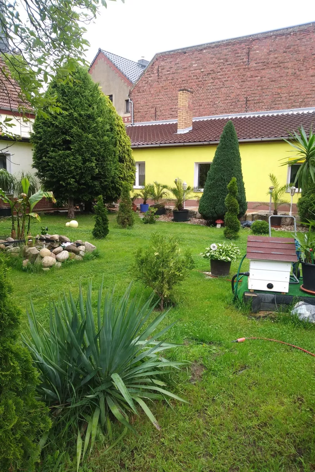 Gemütliche Wohnung mit Terrasse