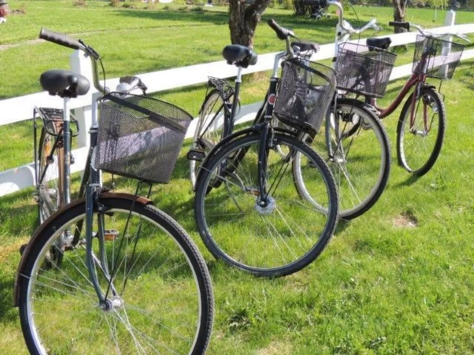 Modernes Haus mit hellem Dekor, mit Blick auf den See