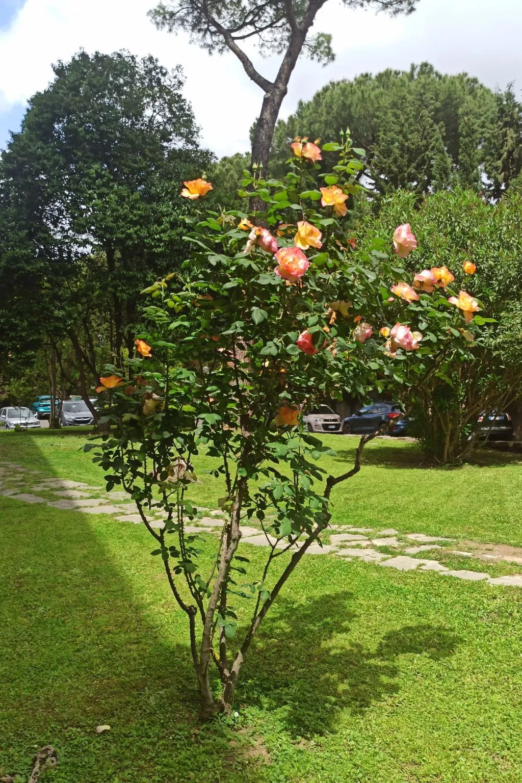 Rome Aurelia Terrace close to St Peter's Square Free Parking and Pool-Image-tags.info