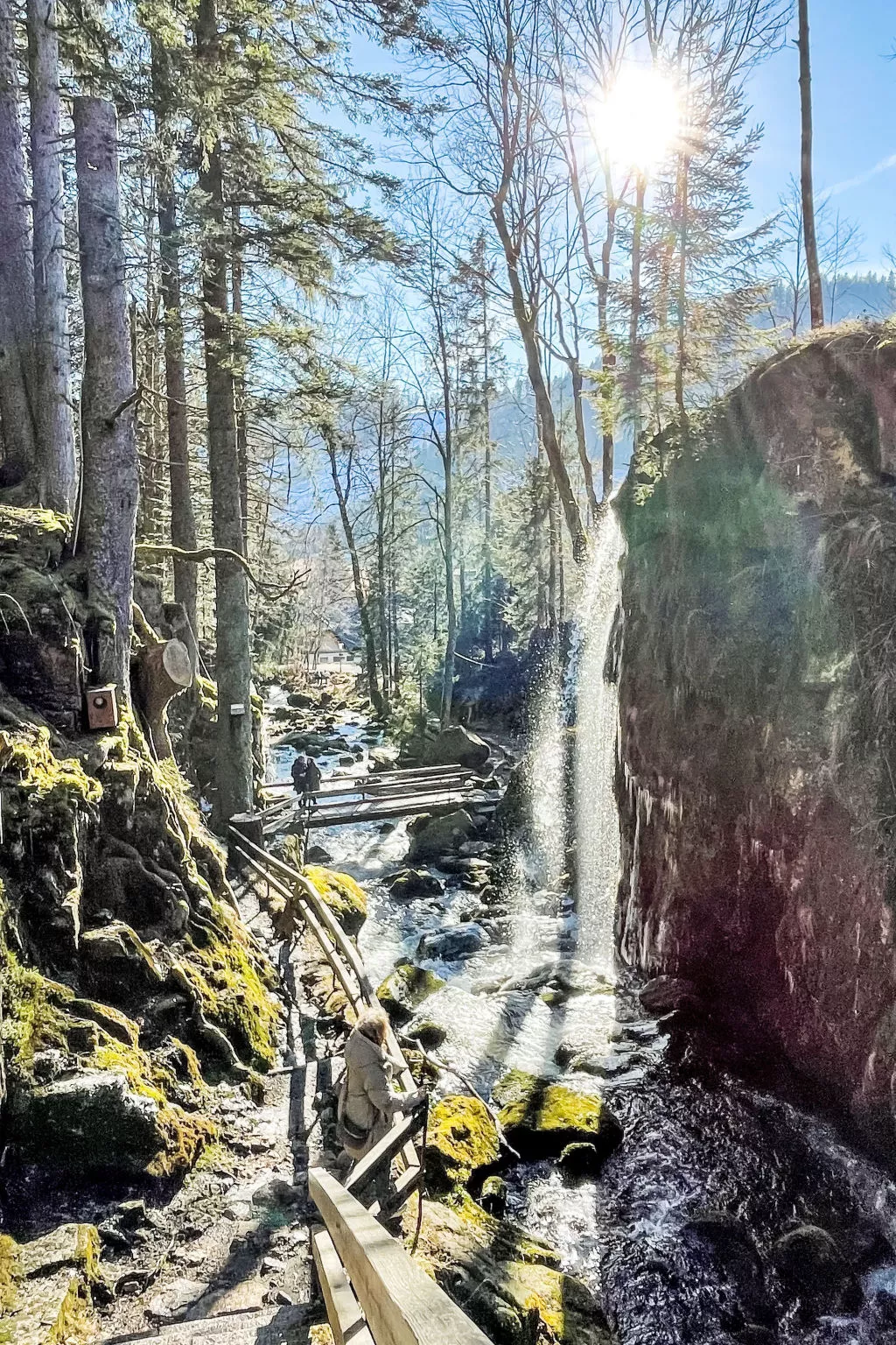 Haus Maria Hochschwarzwald, Garten umzäunt, Waldrand, Hunde willkommen