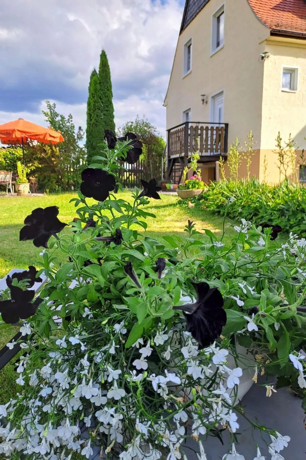 Schöne Ferienwohnung mit Garten und Grill
