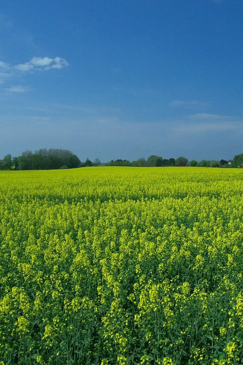 Wohnung in beliebtem Gästehaus mit Fahrradverleih