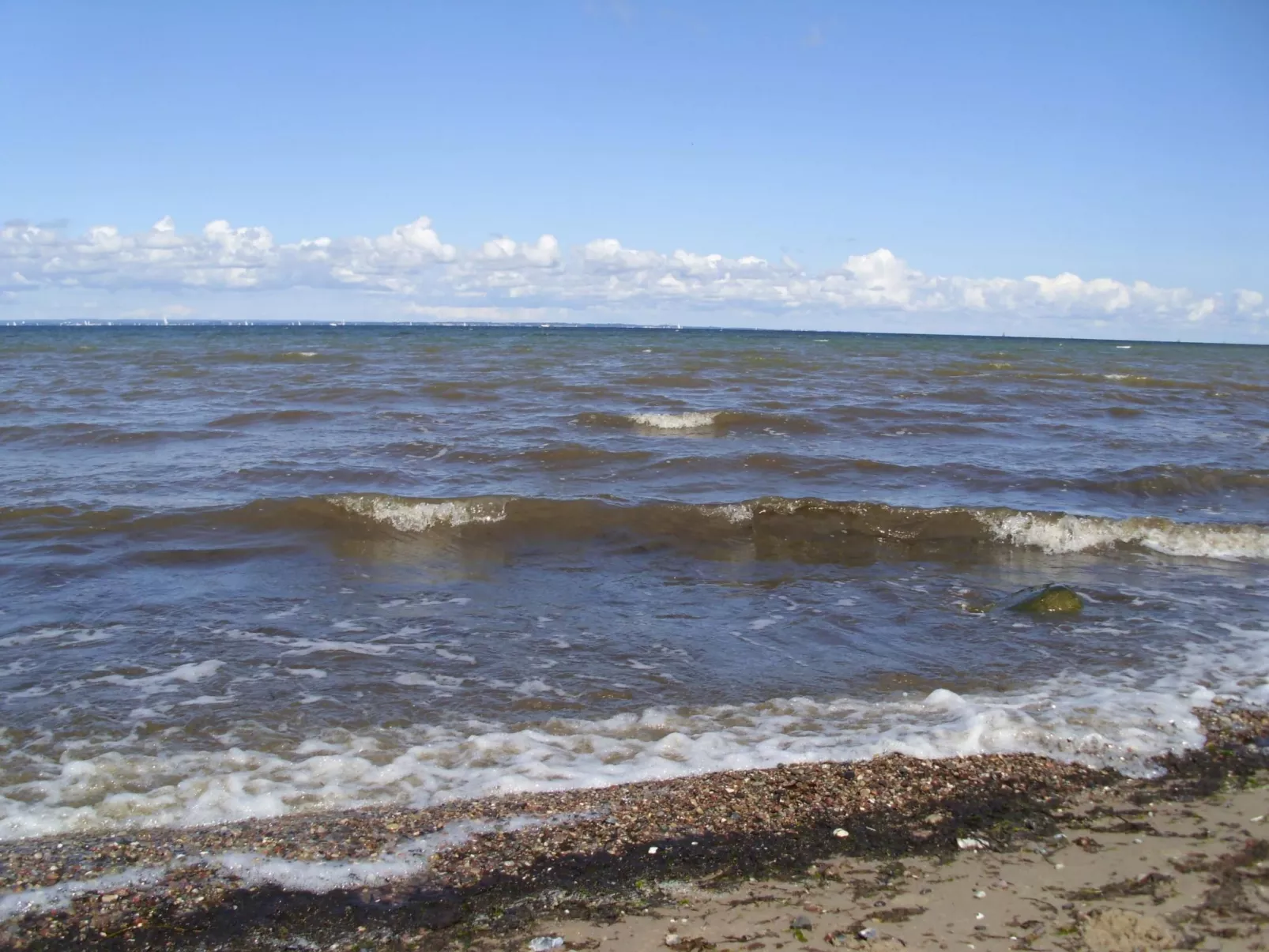 Studio am Rande eines Naturschutzgebietes