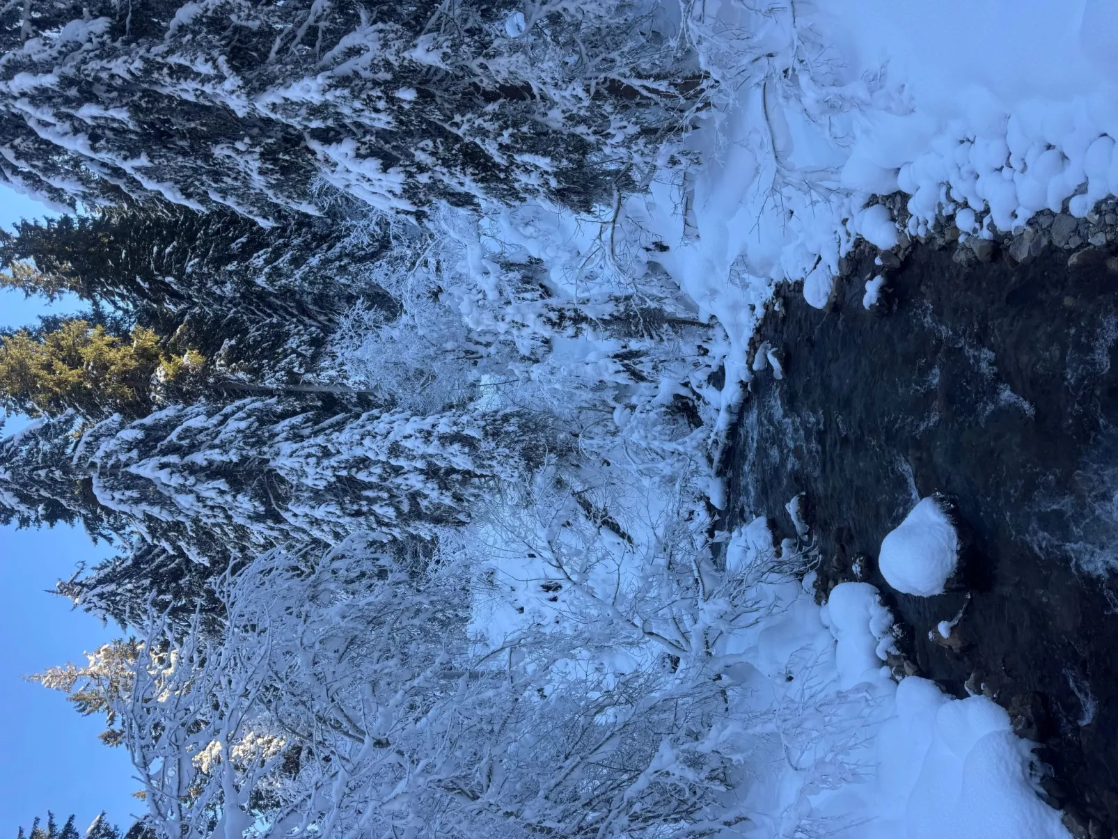 Morgins 6P, Ski-in Ski-out, Parkplatz, zentral, WiFI