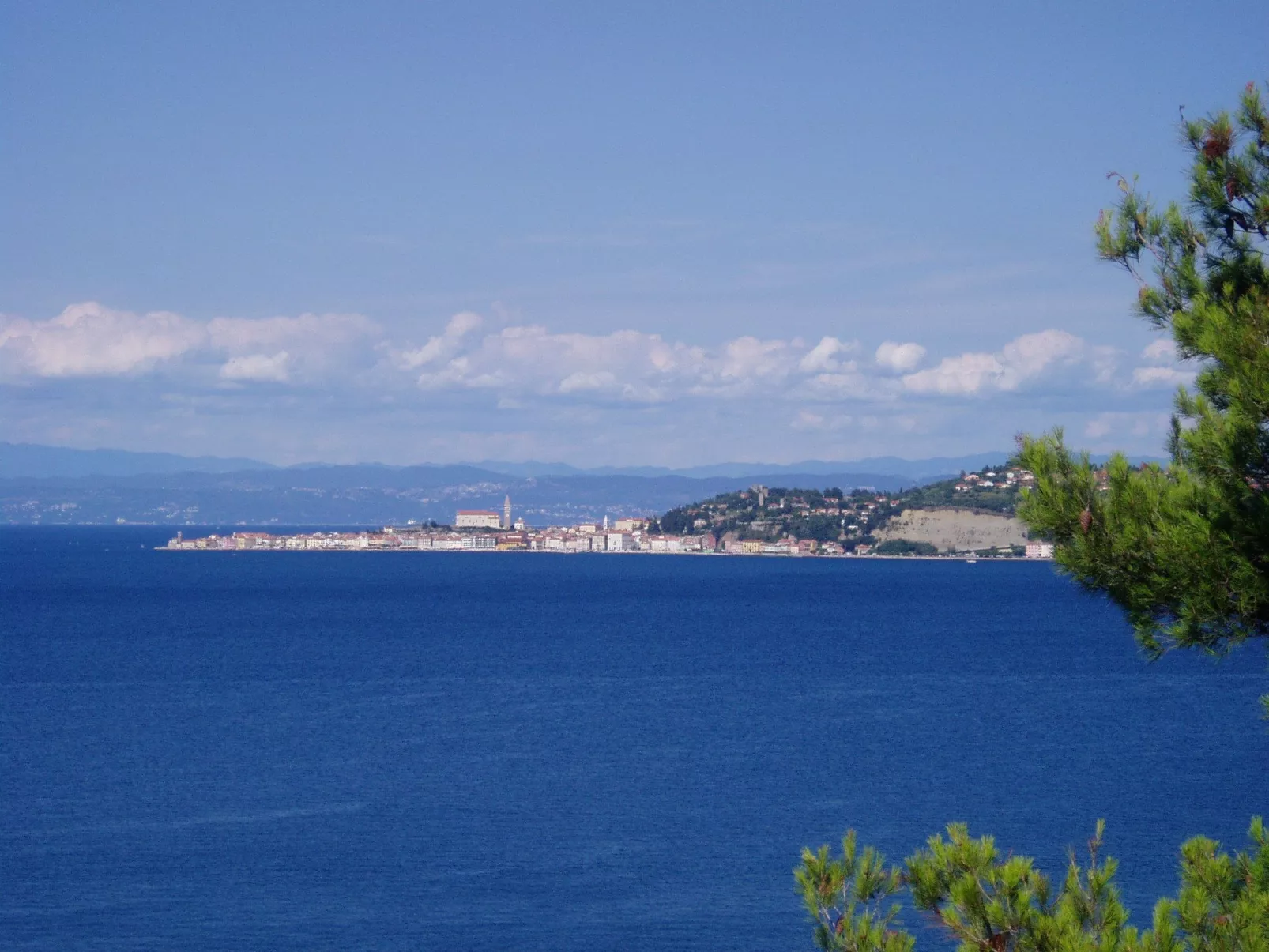 Villa del Golfo, Apartement mit Garten und Pool