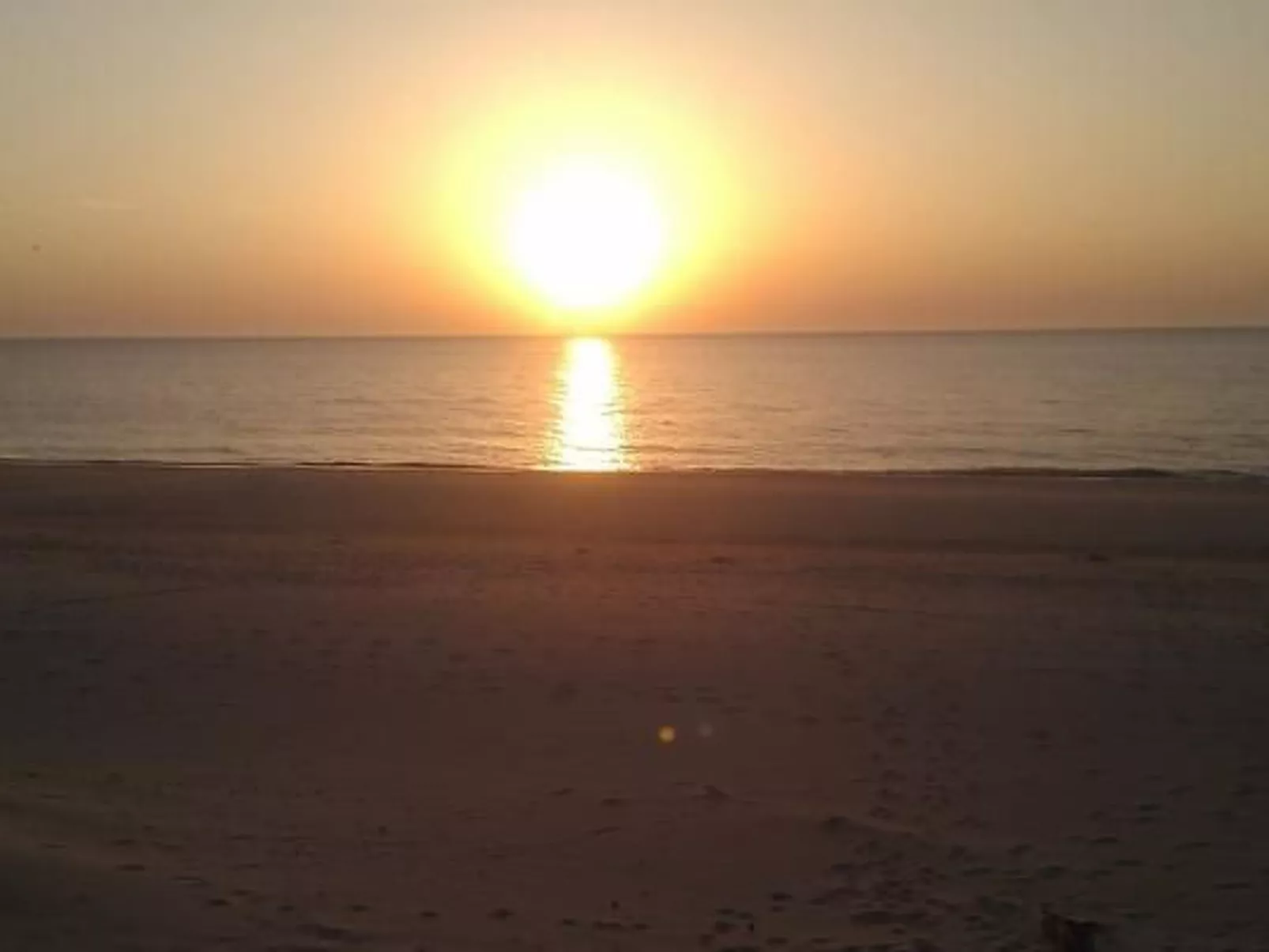 Gemütliches Holzferienhaus mit Grill und Garten-Image-tags.info