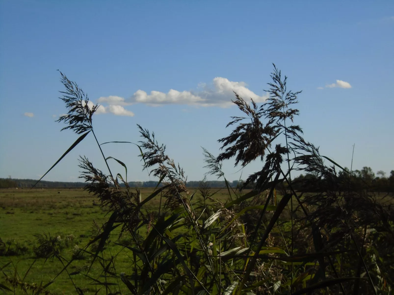 Komfortable Ferienwohnung in Zingst