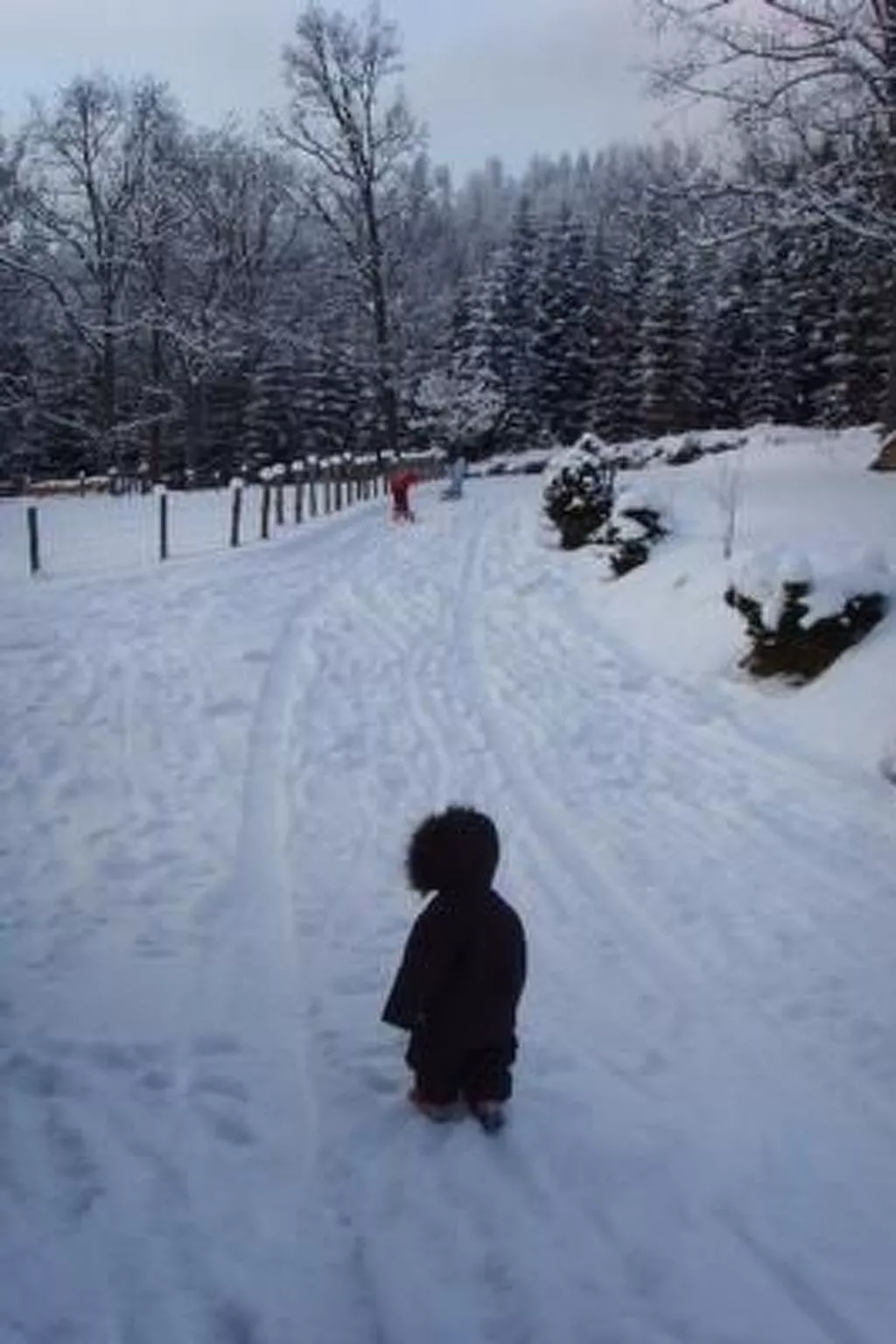 Große Wohnung in Bayerisch Eisenstein