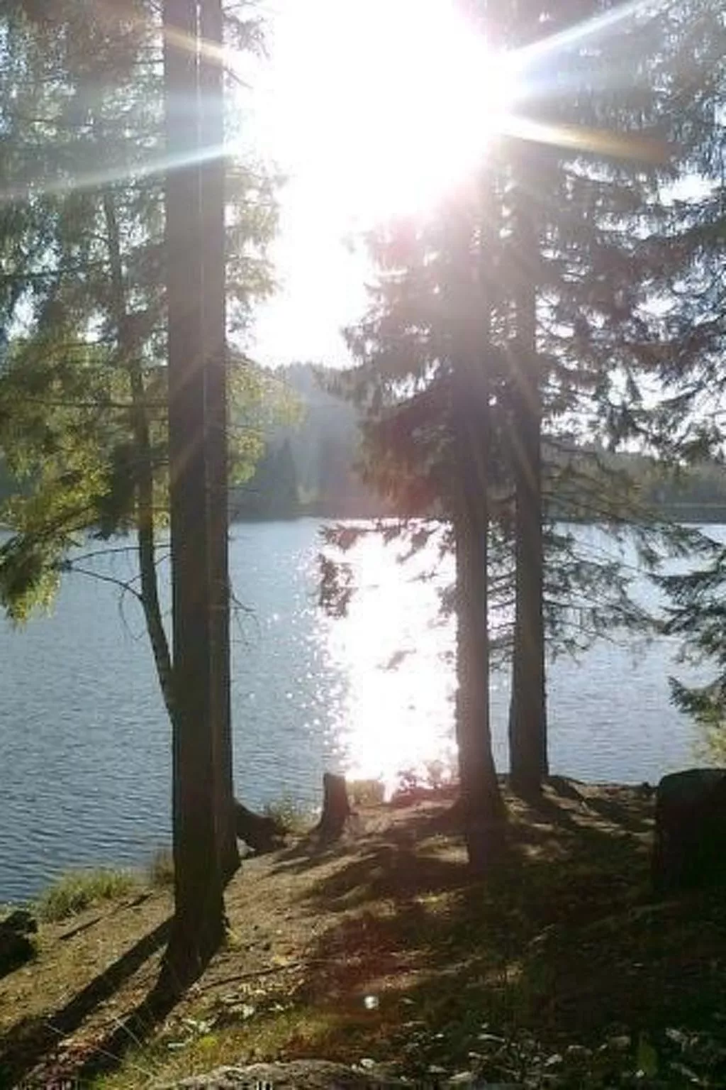 Altes Forsthaus-Buiten