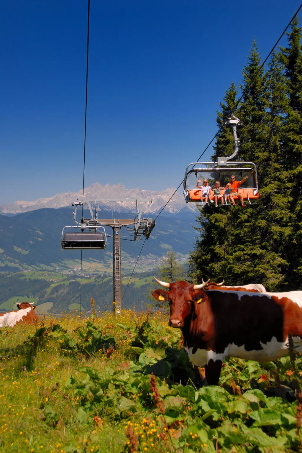 Chalet Promi-Alm in Flachau-Omgeving