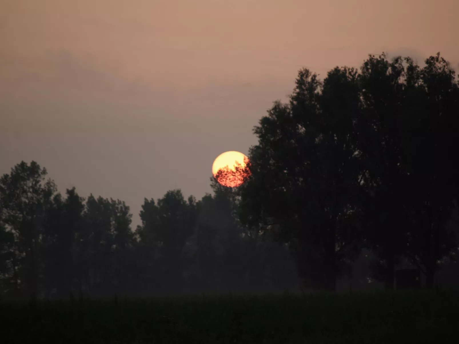 In Grimersum mit Schöner Terrasse-Image-tags.info