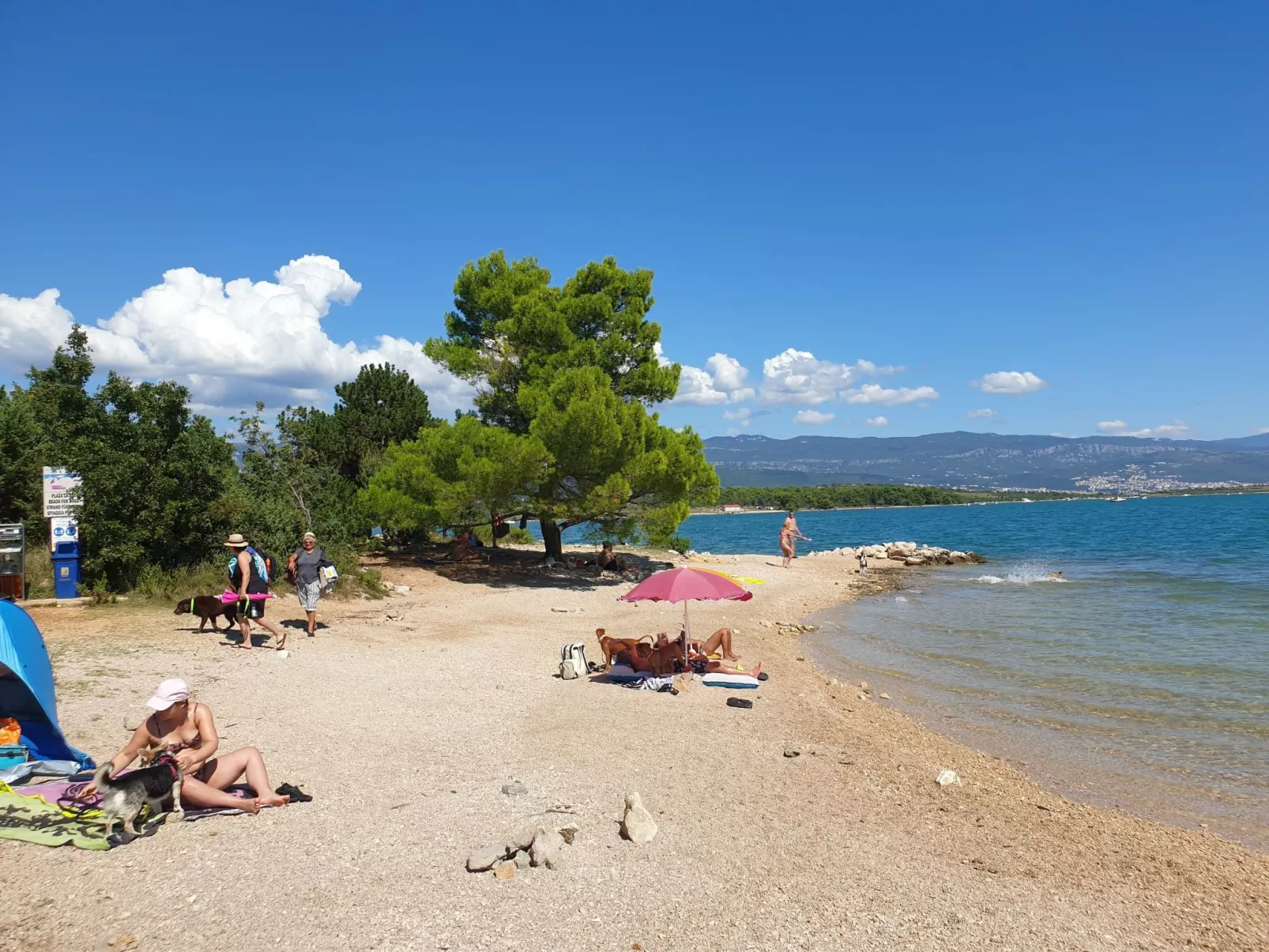 Apartment PintaDeSol