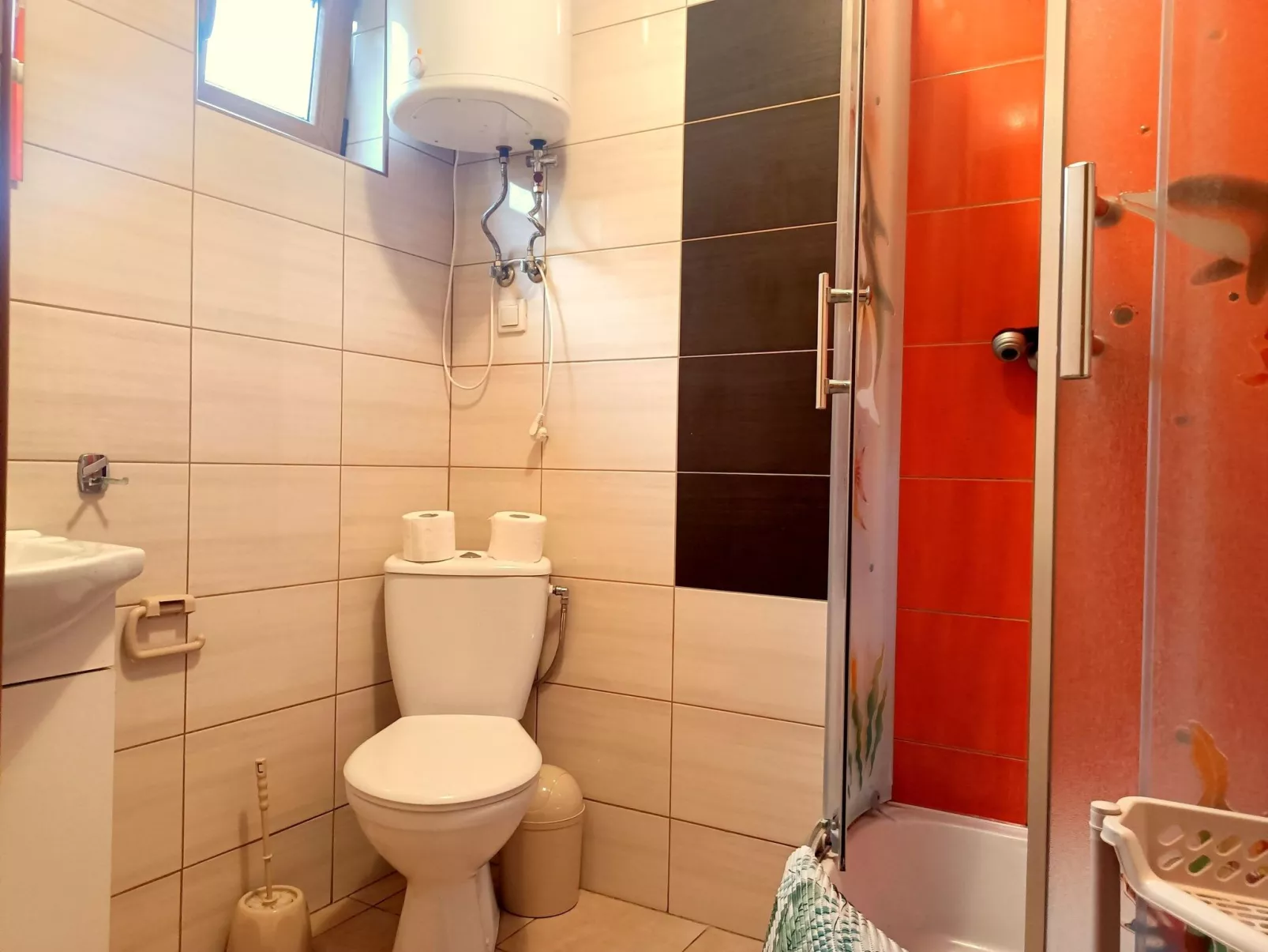 "Paradise Star Bobolin"