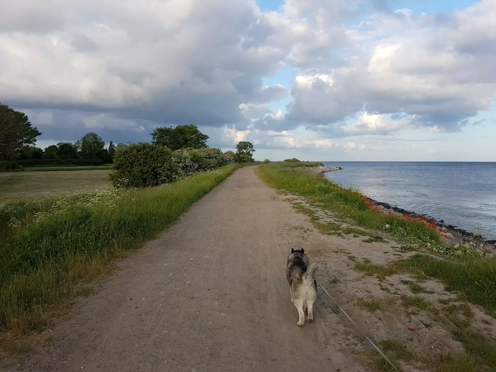 Cala Millor - Buiten