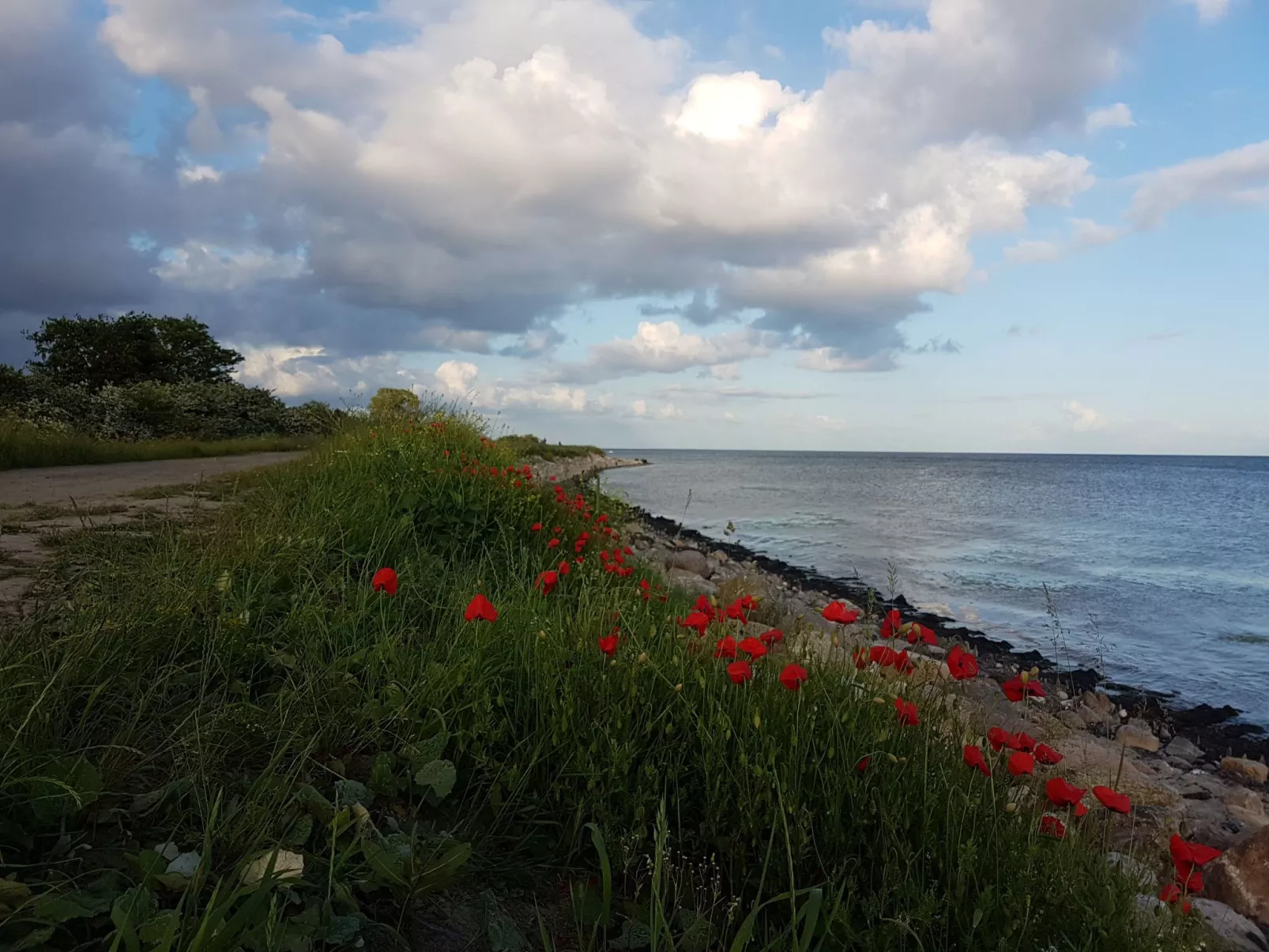 Cap Formentor - Buiten