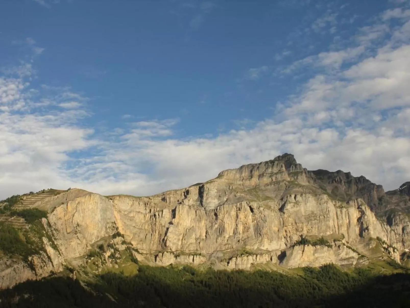 Haus Xaver-Image-tags.info