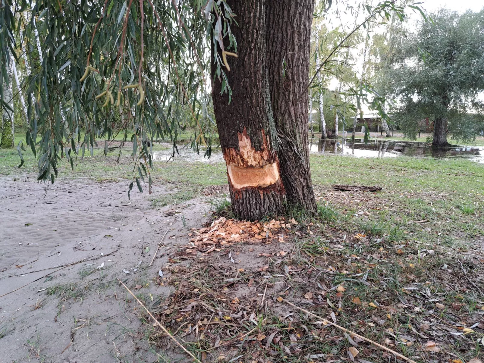 Mit Terrasse mitten im Grünen-Buiten