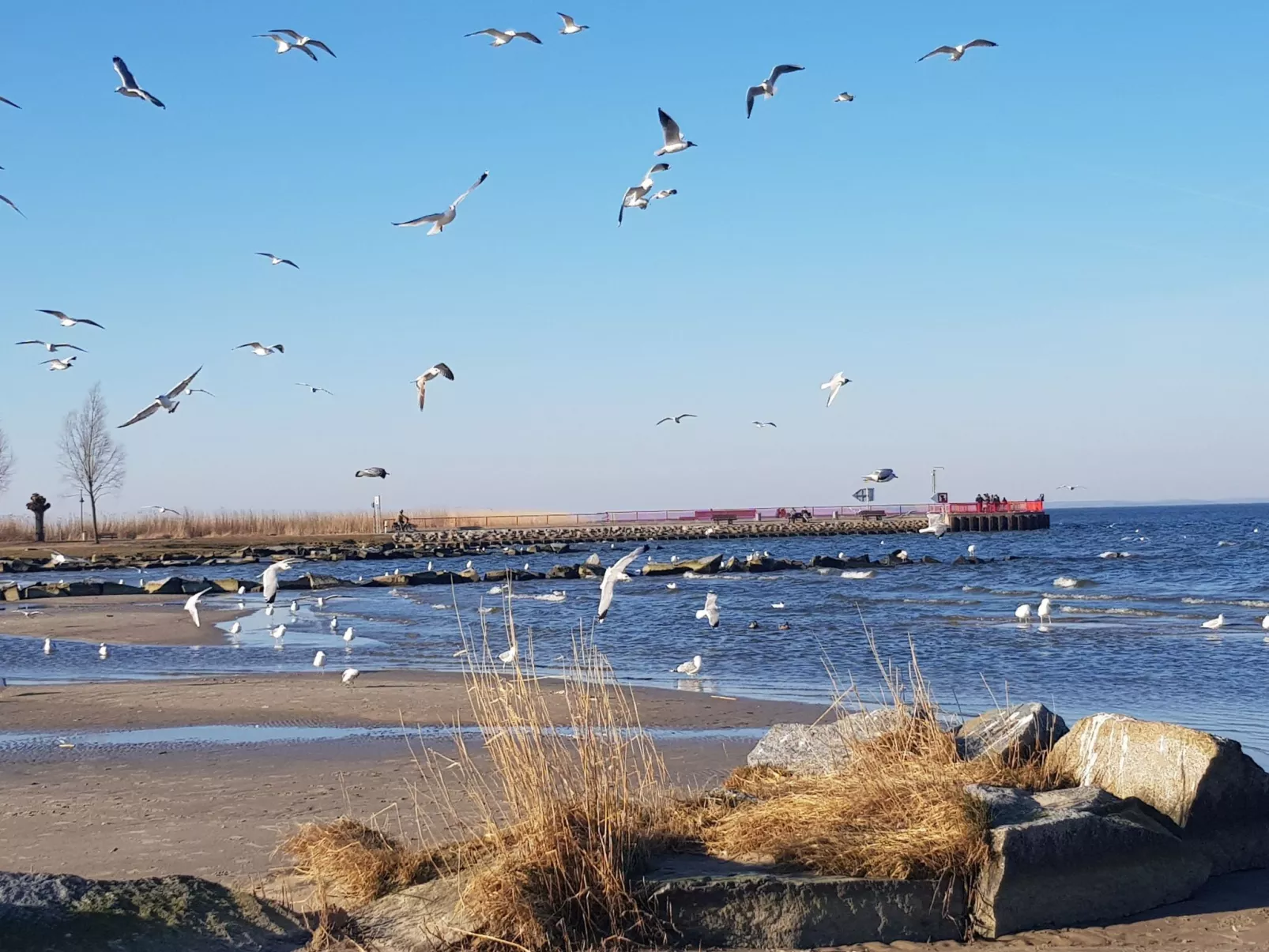 Waldperle-Image-tags.info