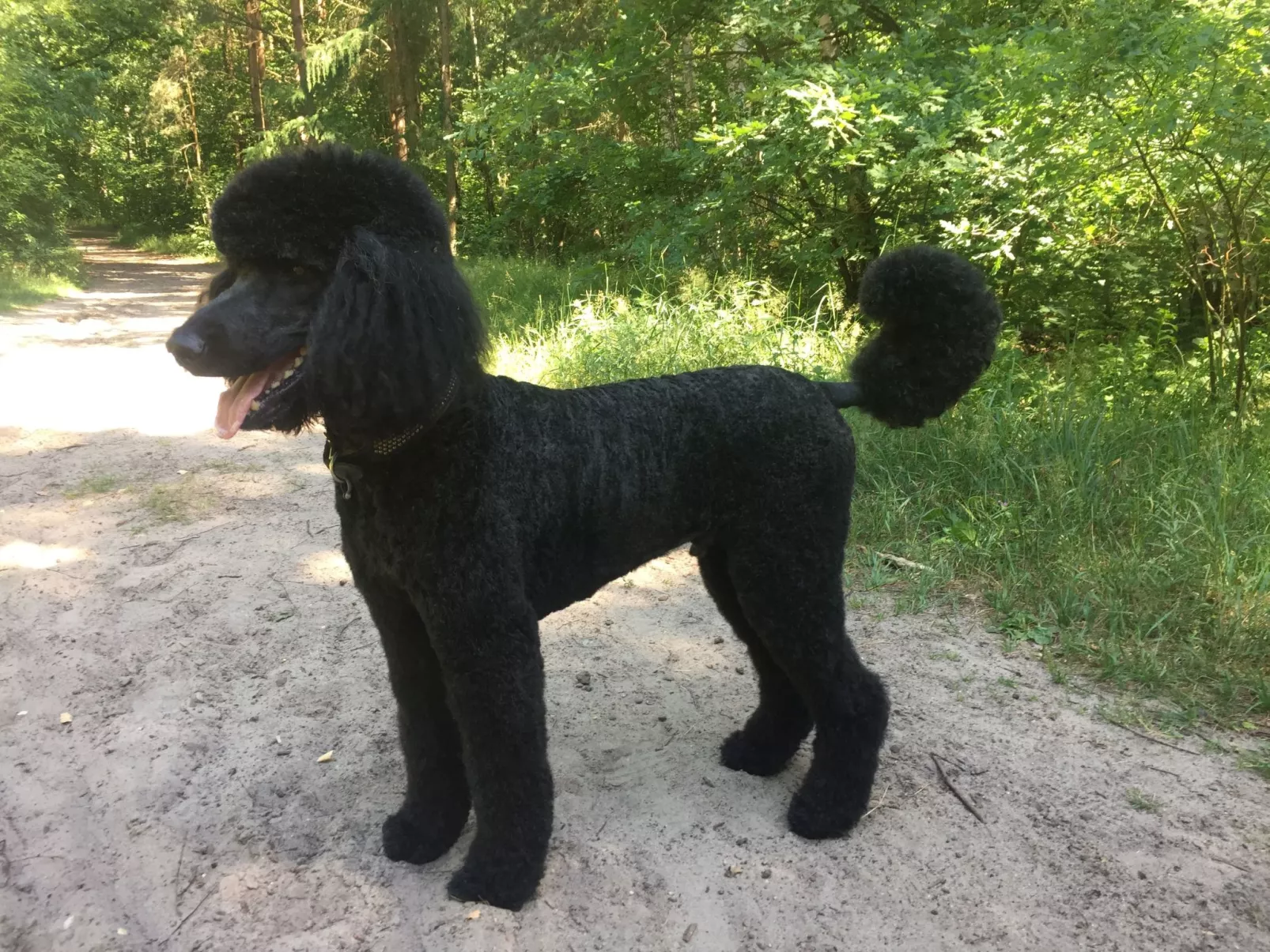 Fünfjahreszeiten in Bodstedt