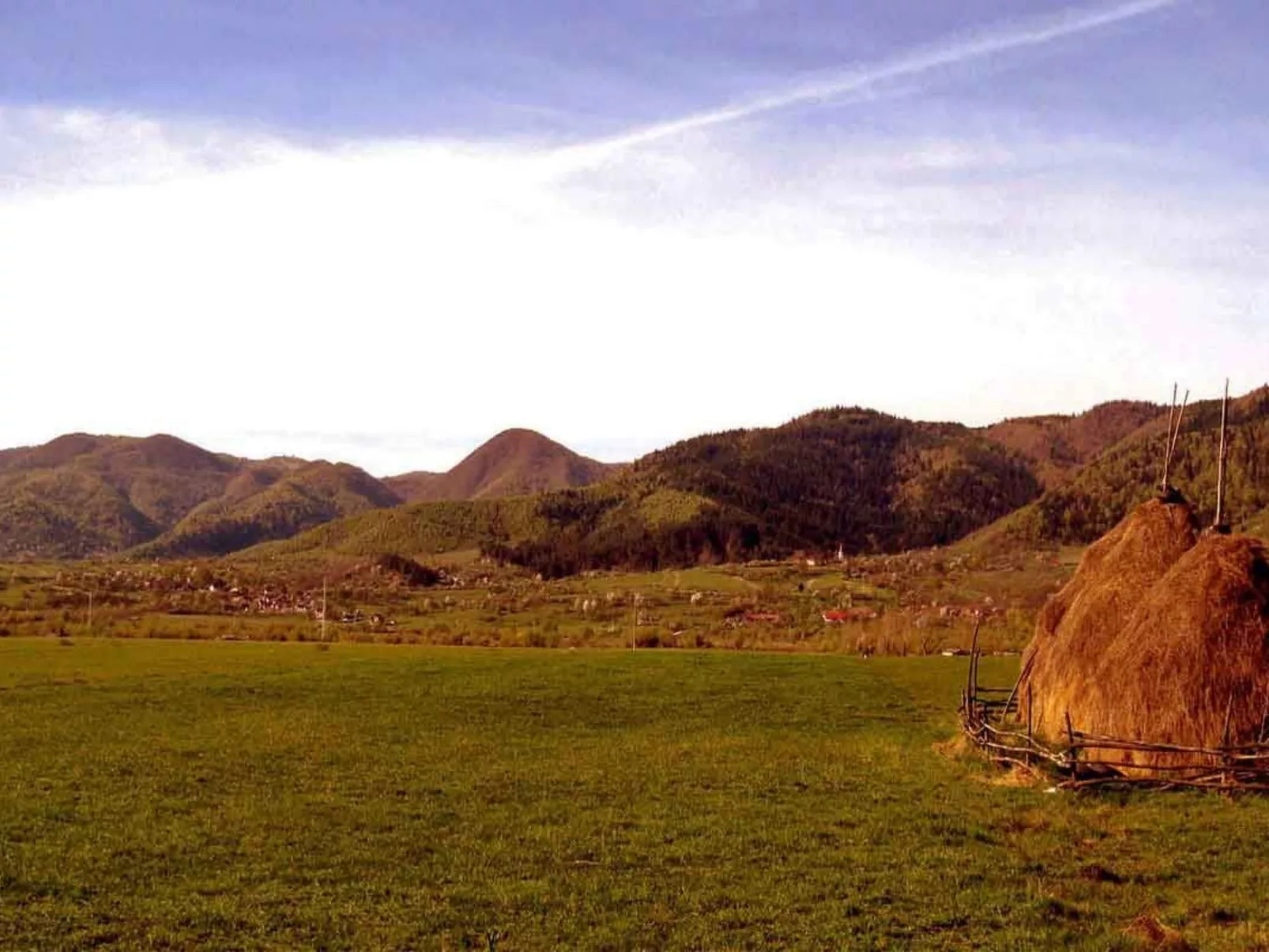 Casa Pelu-Image-tags.info