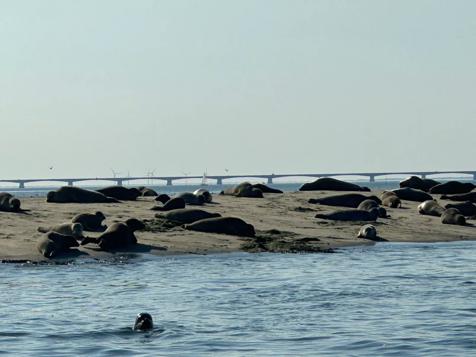 "Cottage" mit Wallbox