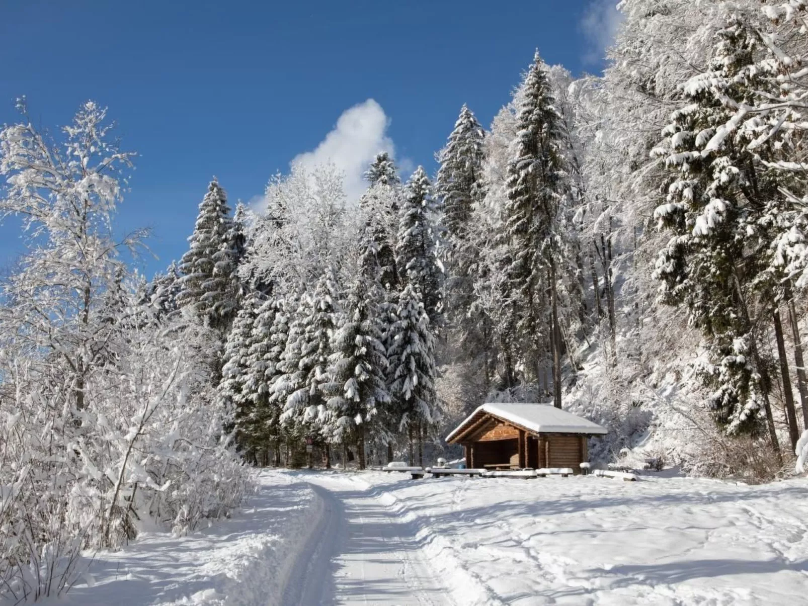 Gehrihornblick-Buiten