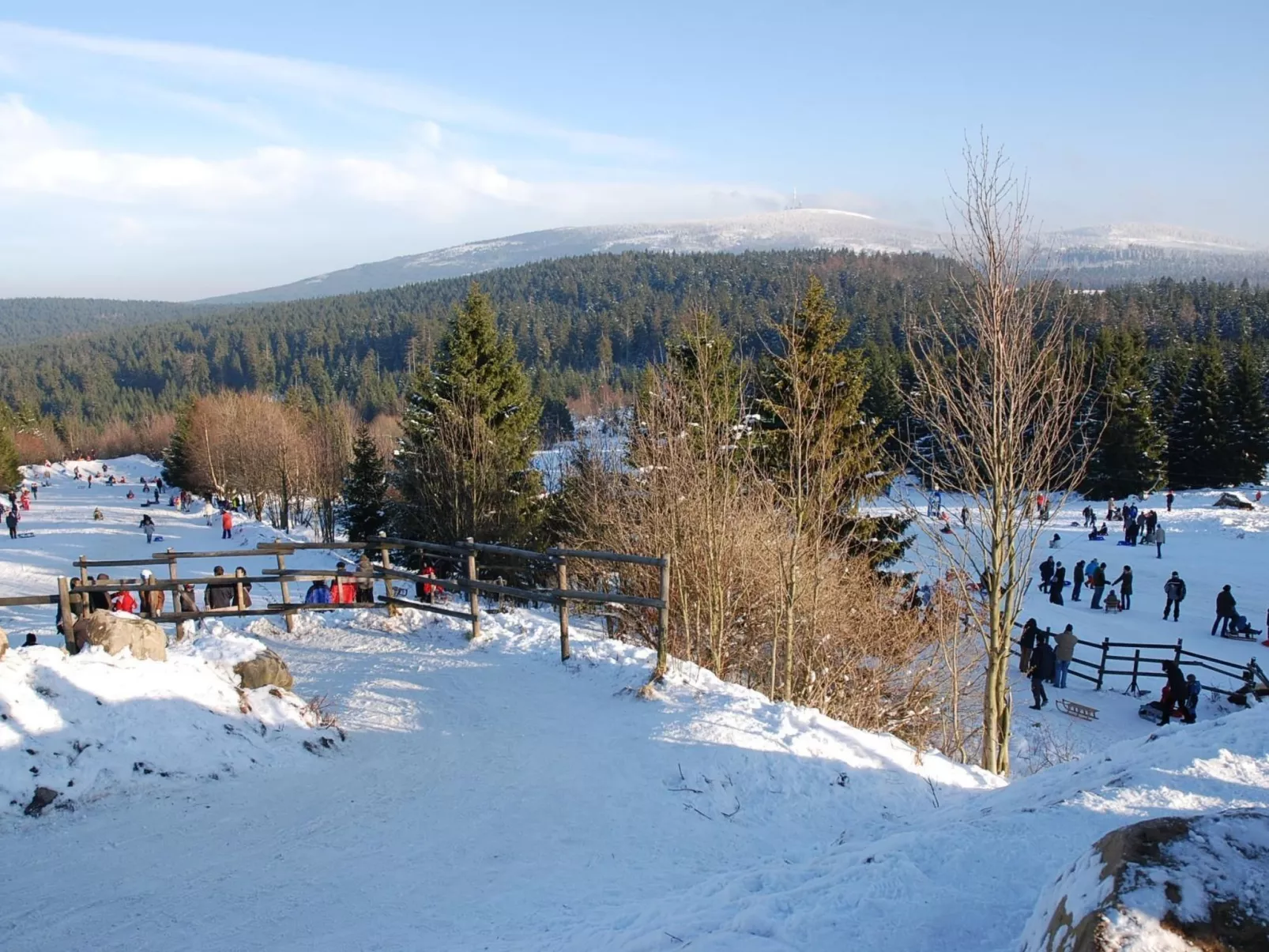 Wohnung in Bad Harzburg mit Garten-Buiten