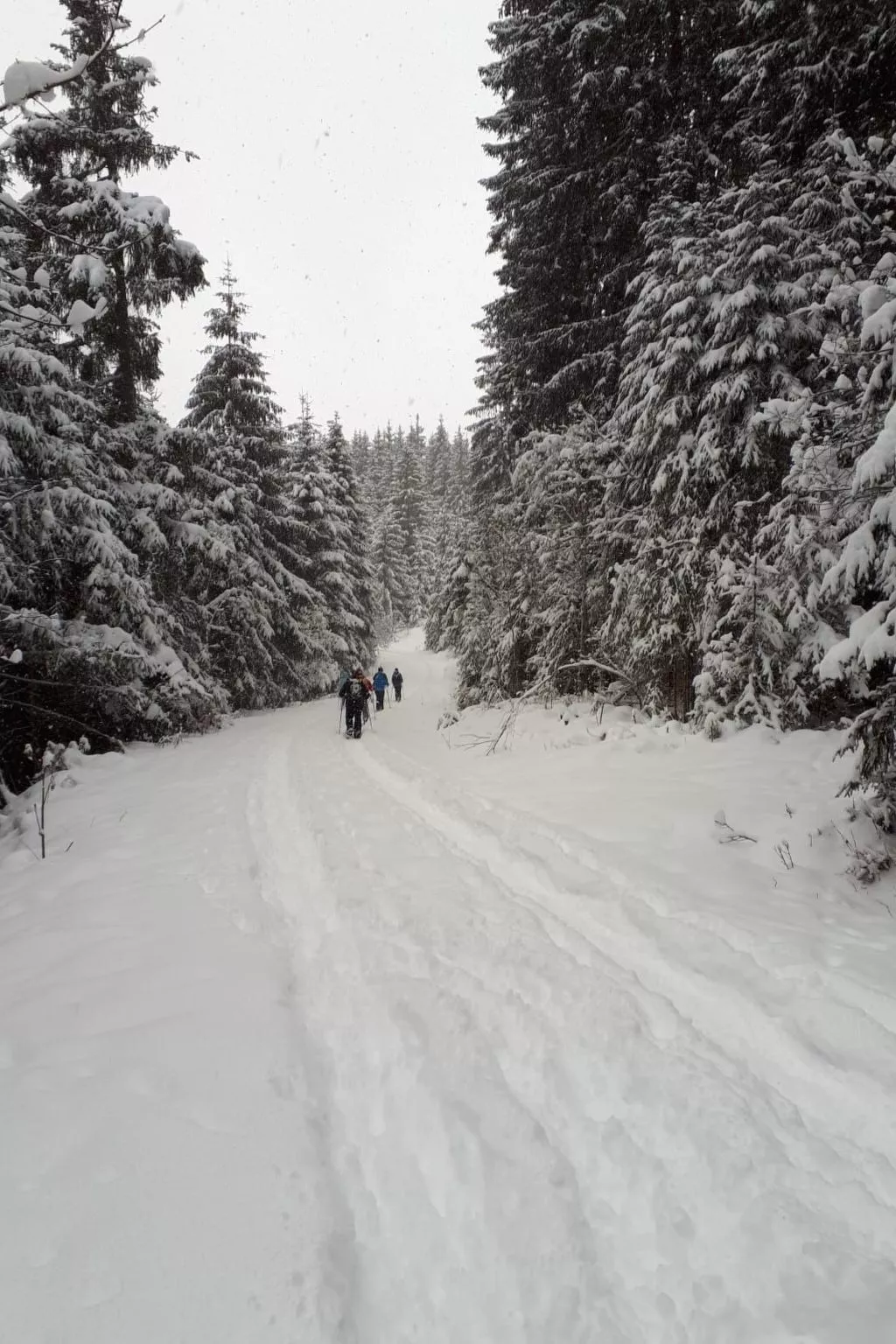 Fewo Harzblick-Buiten