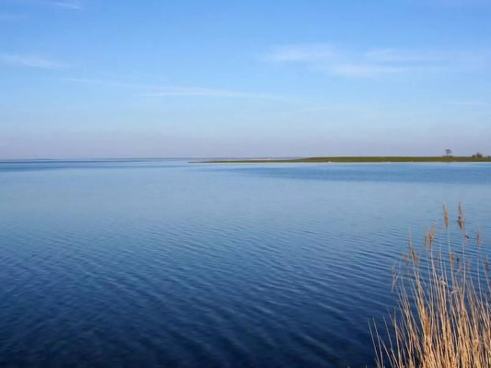 Gemütliche Wohnung mit Grill und Seeblick-Image-tags.info