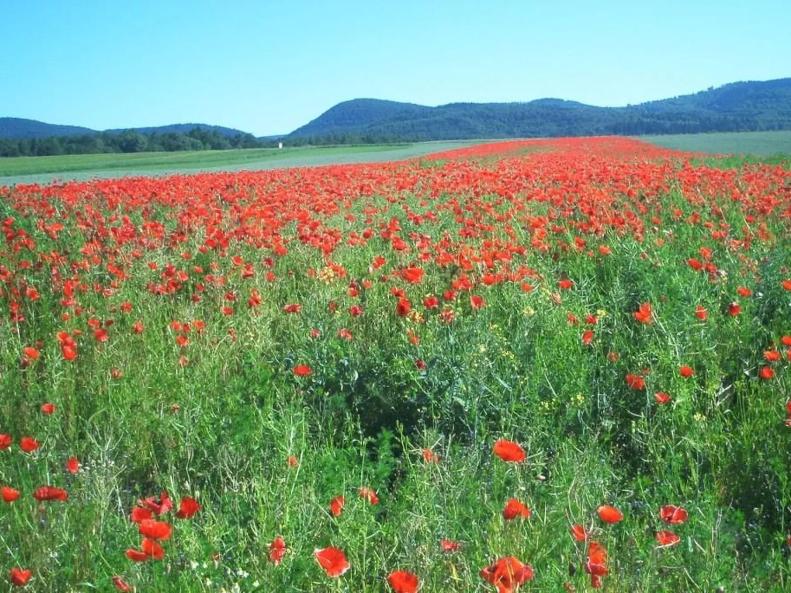 Fewo Stricker 12-Buiten