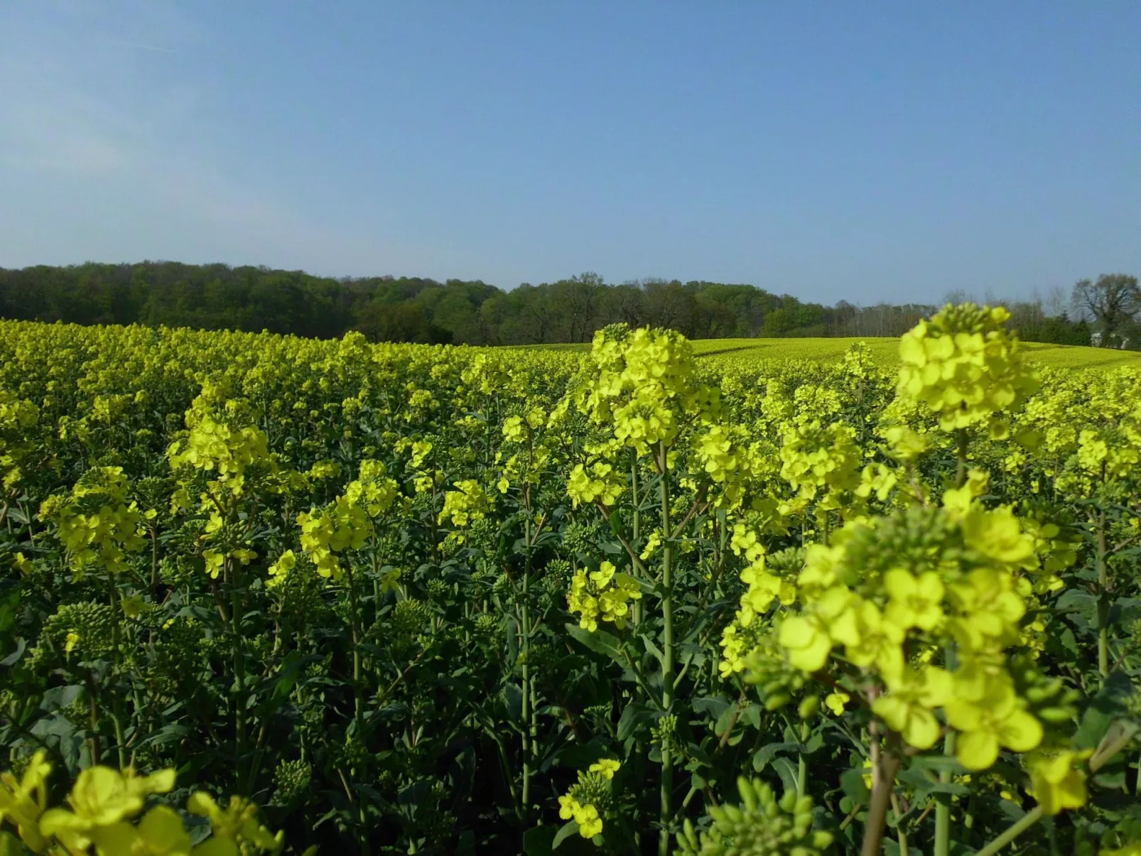 In Kappeln mit Großem Balkon