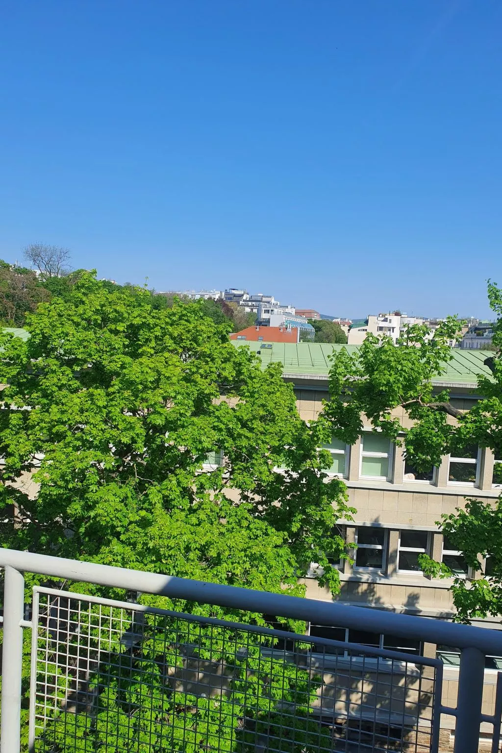 Klimatisiertes 3 Zimmer Appartement  mit Terrasse-Buiten