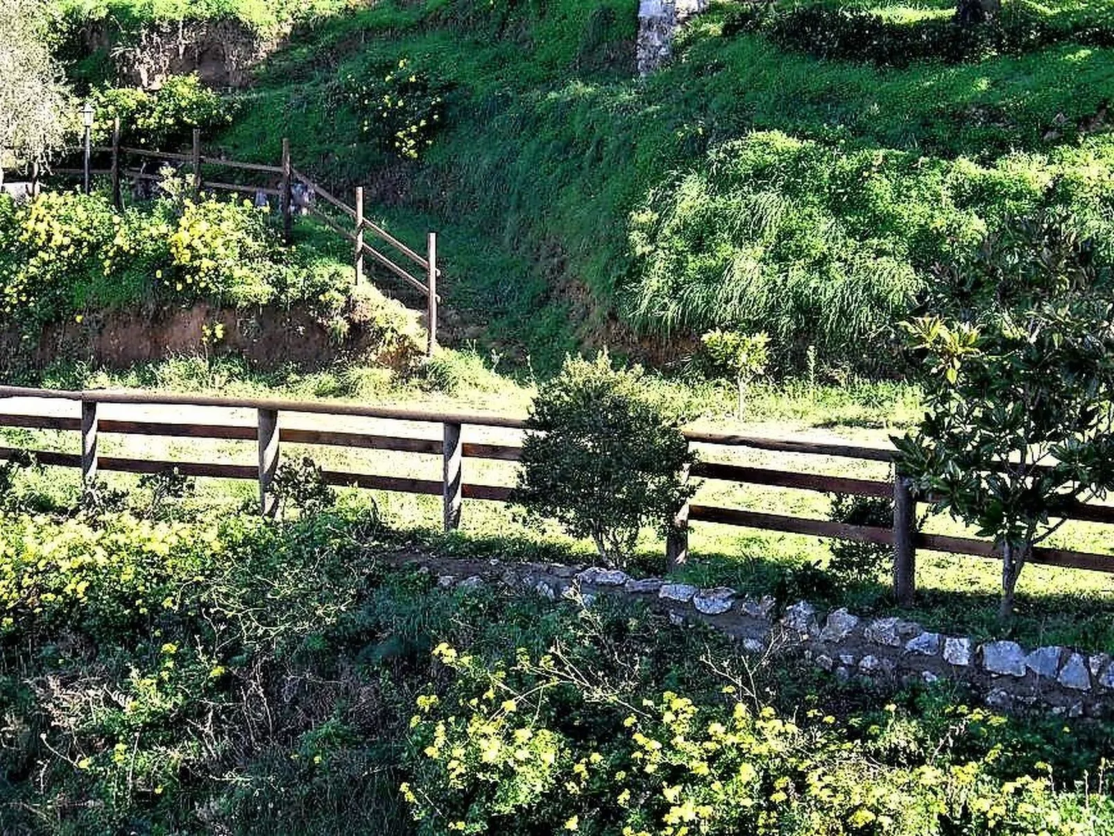 Orange Wohnung-Buiten