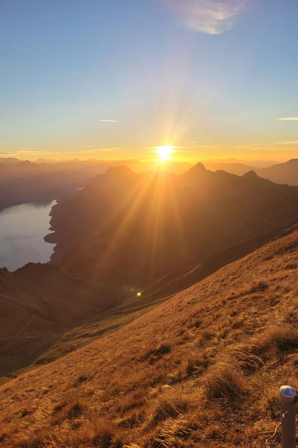Kolibri Parterre-Buiten