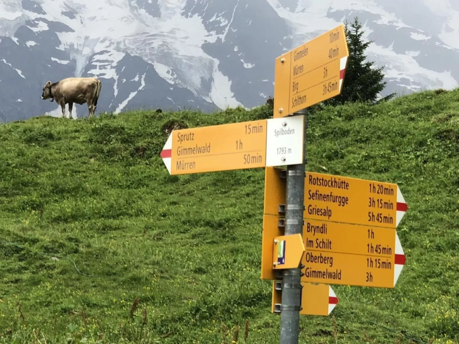 Ferien-Apartment mit Lounge