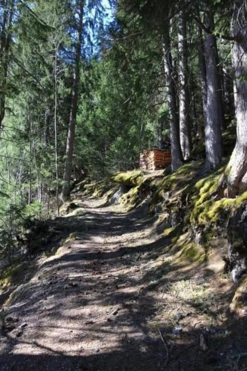 Katharina von Allmen