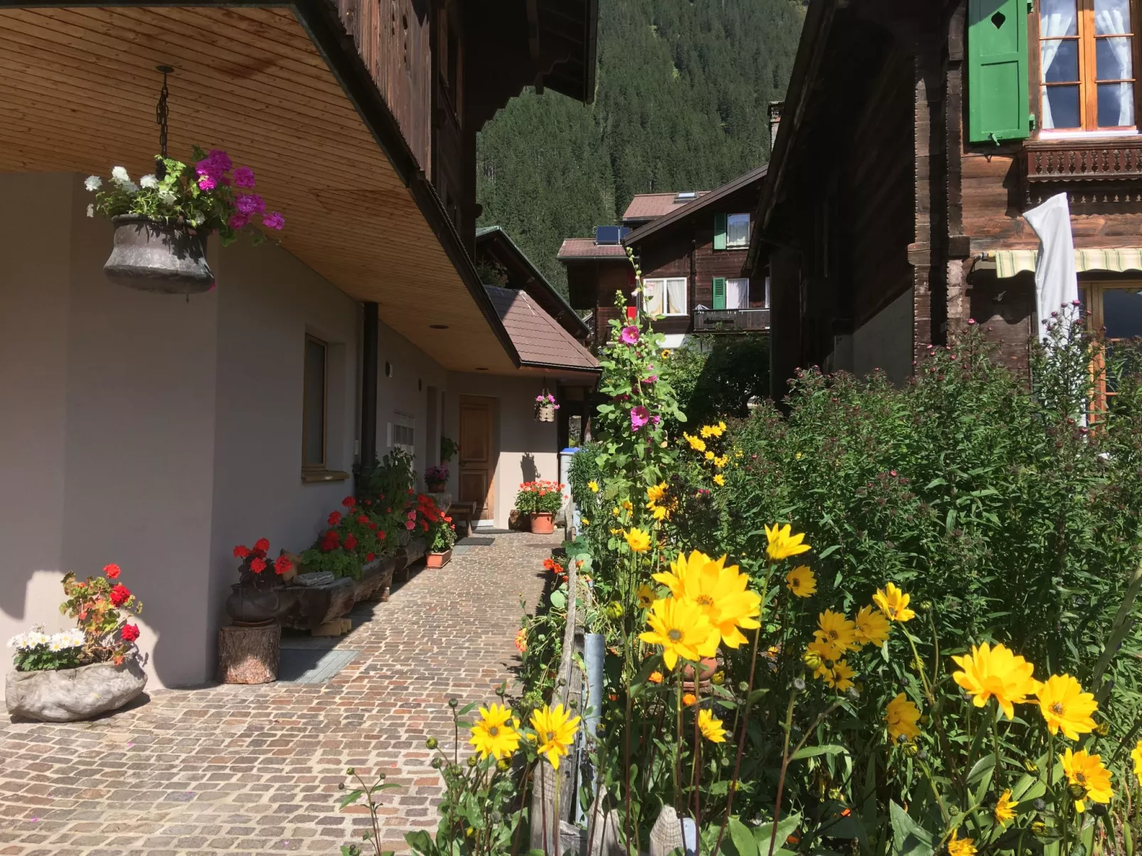 Katharina von Allmen