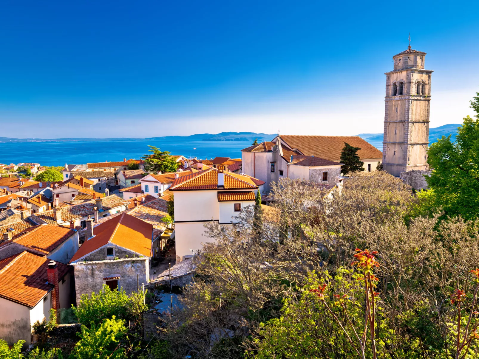 Wohnung mit Terrasse-Omgeving