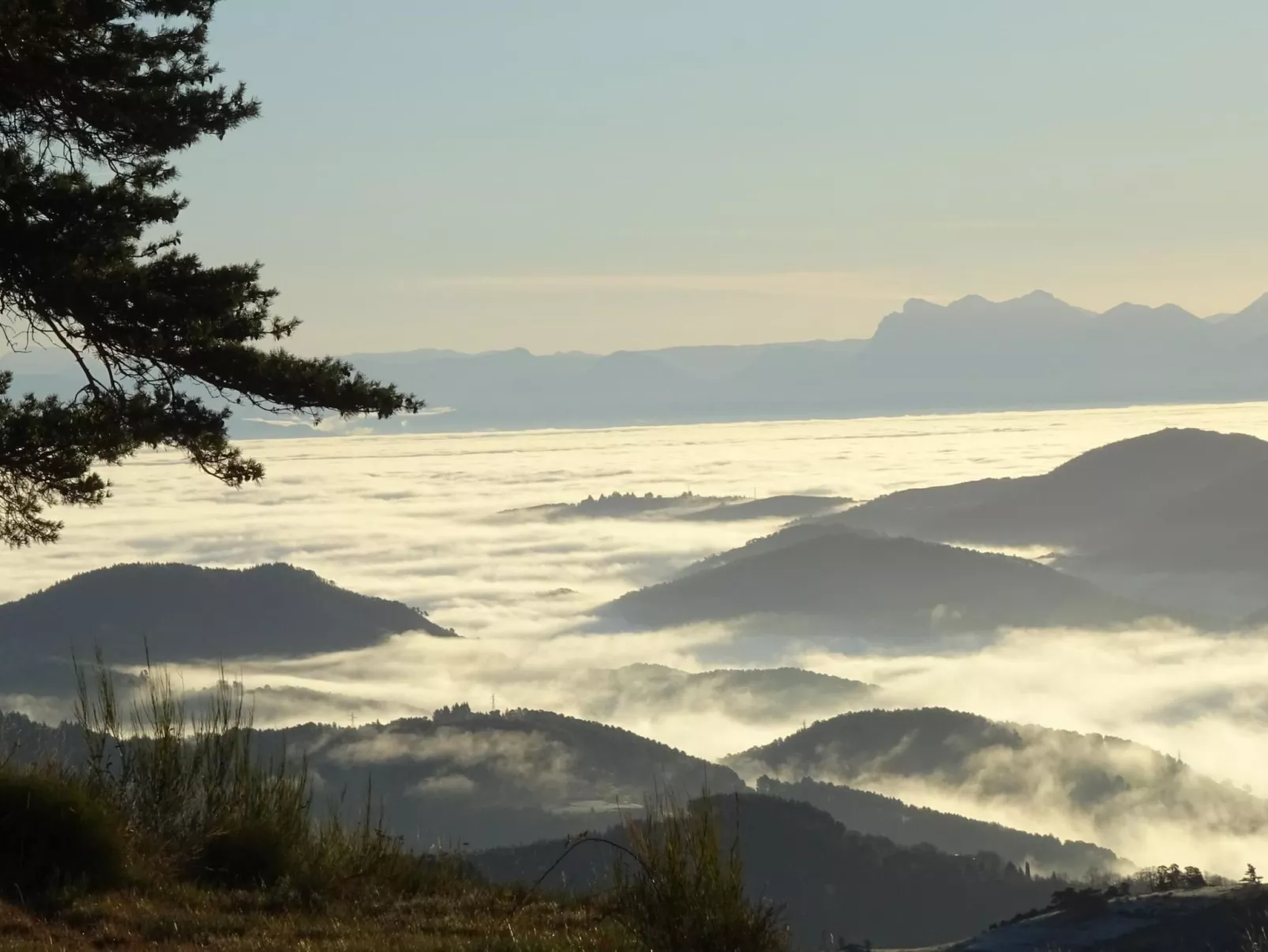 Gîte de Chapelèche Les Genêts