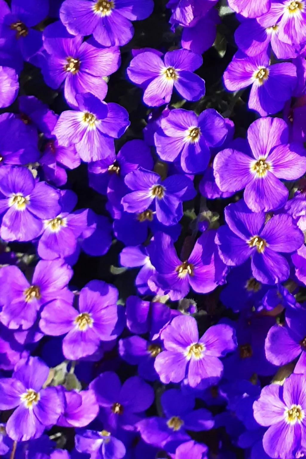 Finca "Motje" mit Aussicht-Buiten