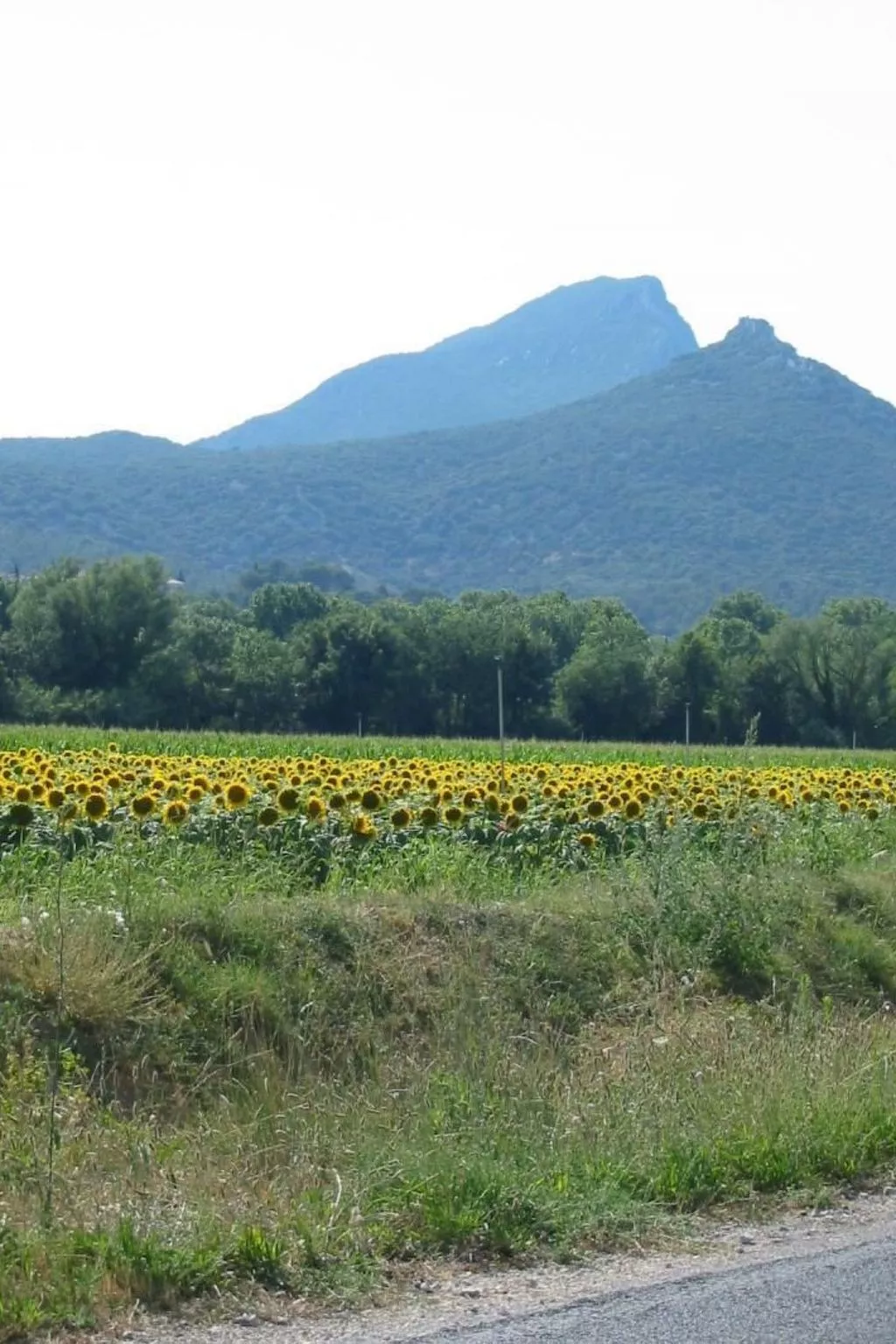Lilliputienne am Parc le Duc