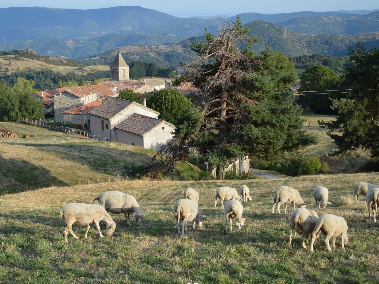 Gîte de Chapelèche Les Châtaigniers für 7 Pers.