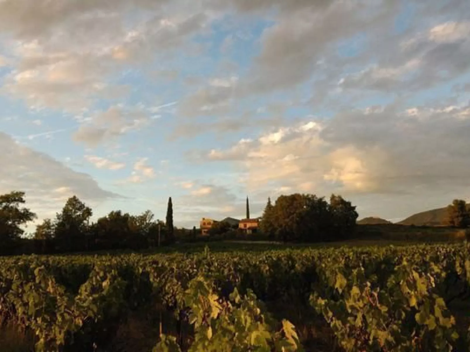 "Haus der Olivenbäume"