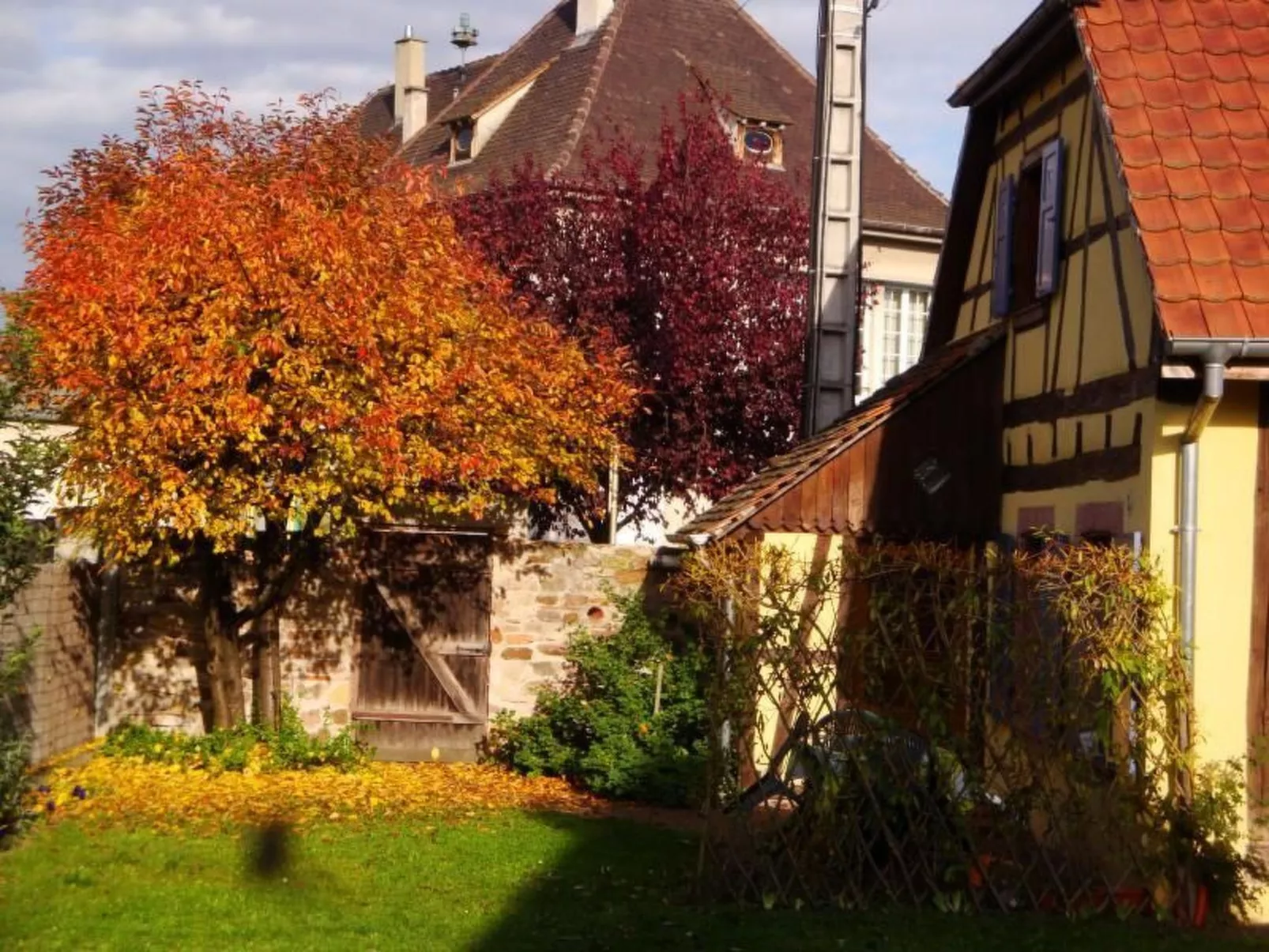 Gite "Sonneblüem un Pfefferminz"